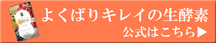 生酵素2